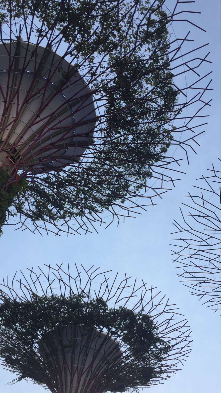 Photo of Singapore: Best Ways To Survive As An Indian by Apurva Mittal