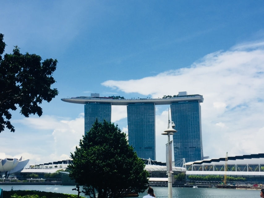 Photo of Singapore: Best Ways To Survive As An Indian by Apurva Mittal