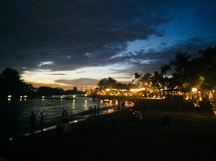 Photo of Singapore: Best Ways To Survive As An Indian by Apurva Mittal