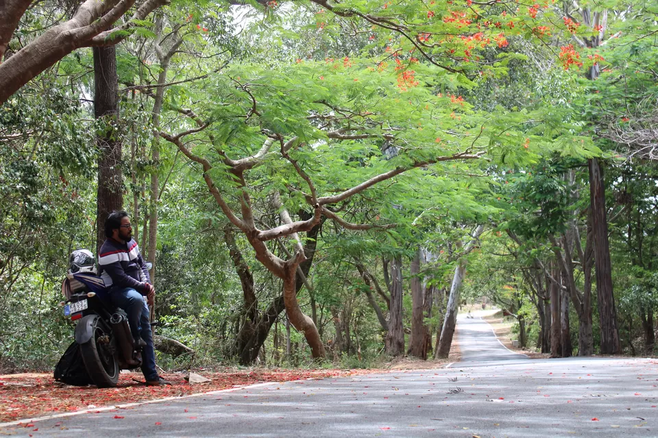 Photo of Horsley Hills, Andhra Pradesh, India by Gangadhar Konanur