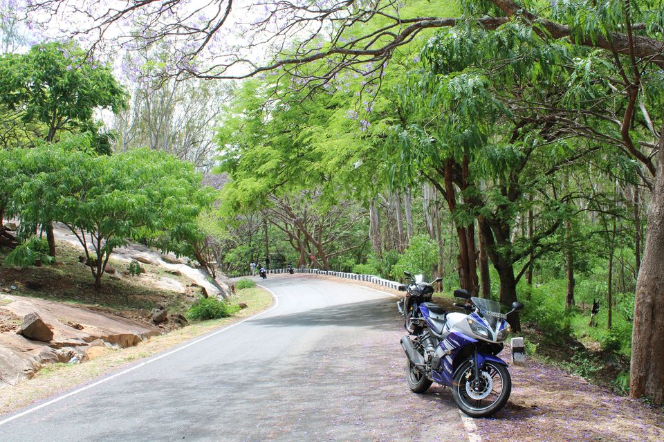Photo of "Best 5 hill stations to explore near Bengaluru - One day road trips within 150kms" by Gangadhar Konanur