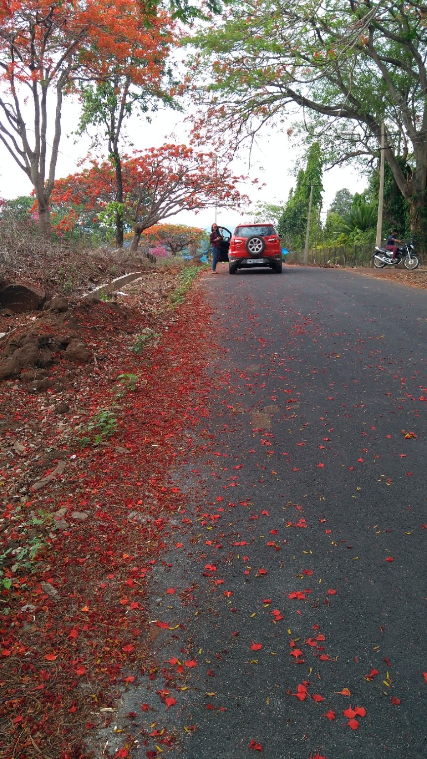 Photo of Must visit places near chikkamagaluru and Coorg by Ritzy R