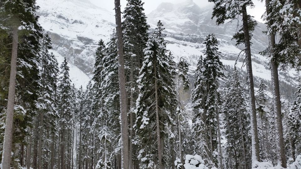 Photo of Oeschinen Lake, Kandersteg, Switzerland by Annet P S