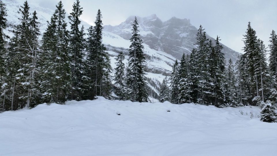 Photo of A NEAR FROZEN EXPERIENCE In Swiss Winter Wonderland - OESCHINENSEE #trekkinginwinter by Annet P S