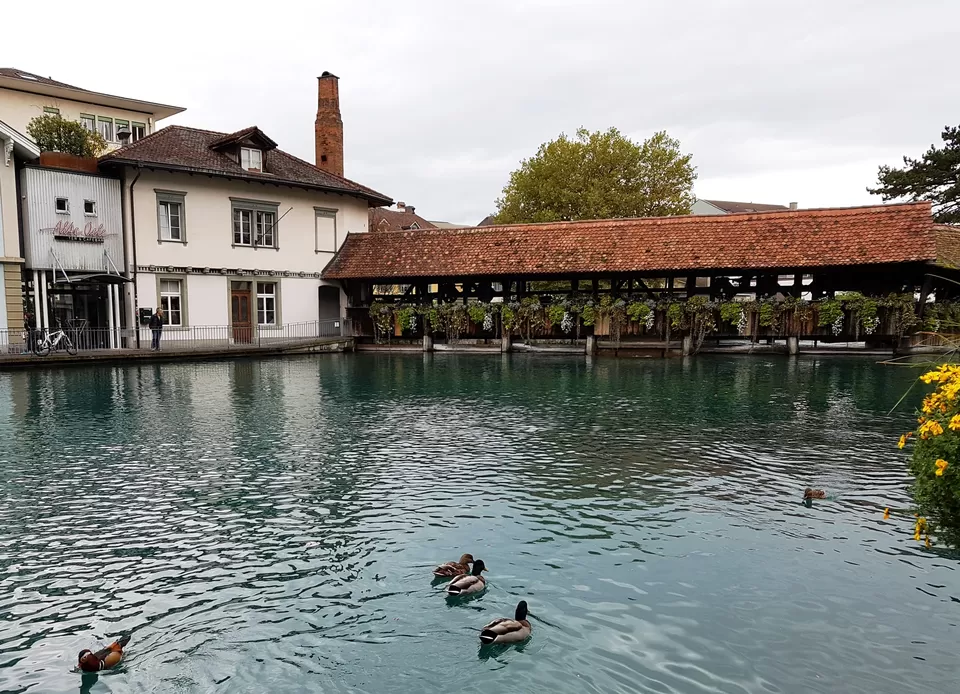 Photo of River Surfing in the middle of this town #Thun by Annet P S