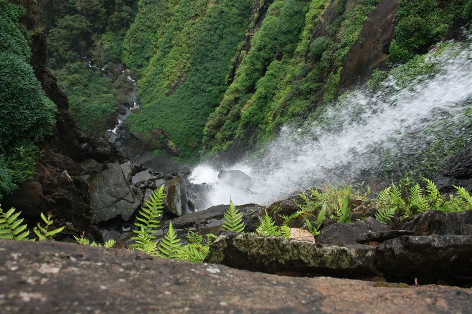 Photo of Agumbe, Karnataka, India by Rohan Pratap Dash