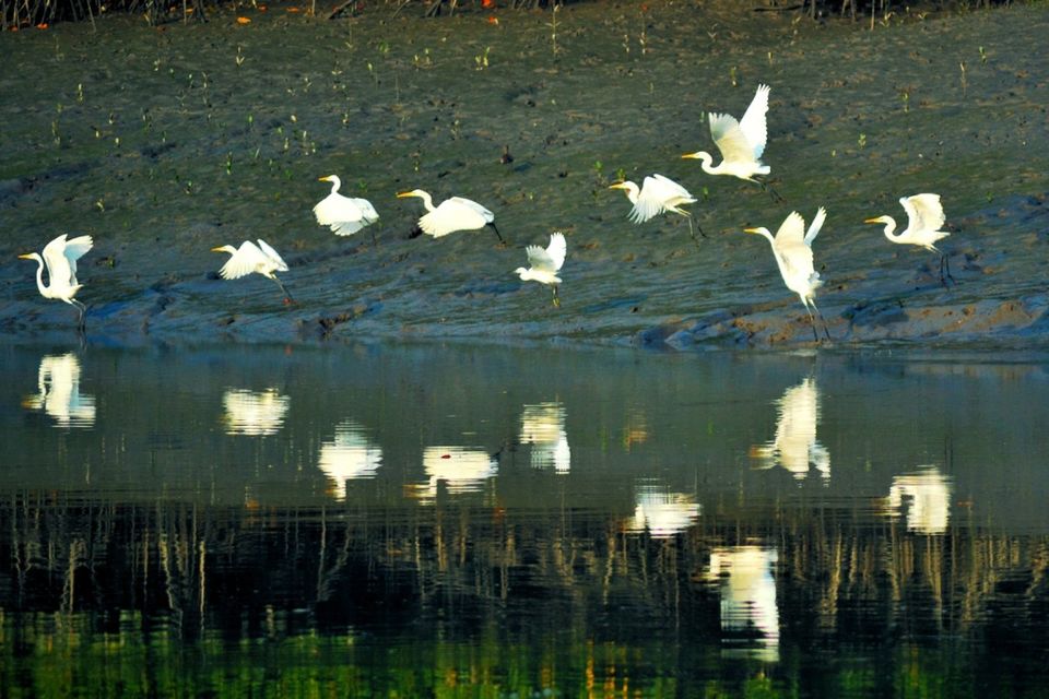 Photo of Sunderban, Gosaba, West Bengal, India by Rohan Pratap Dash
