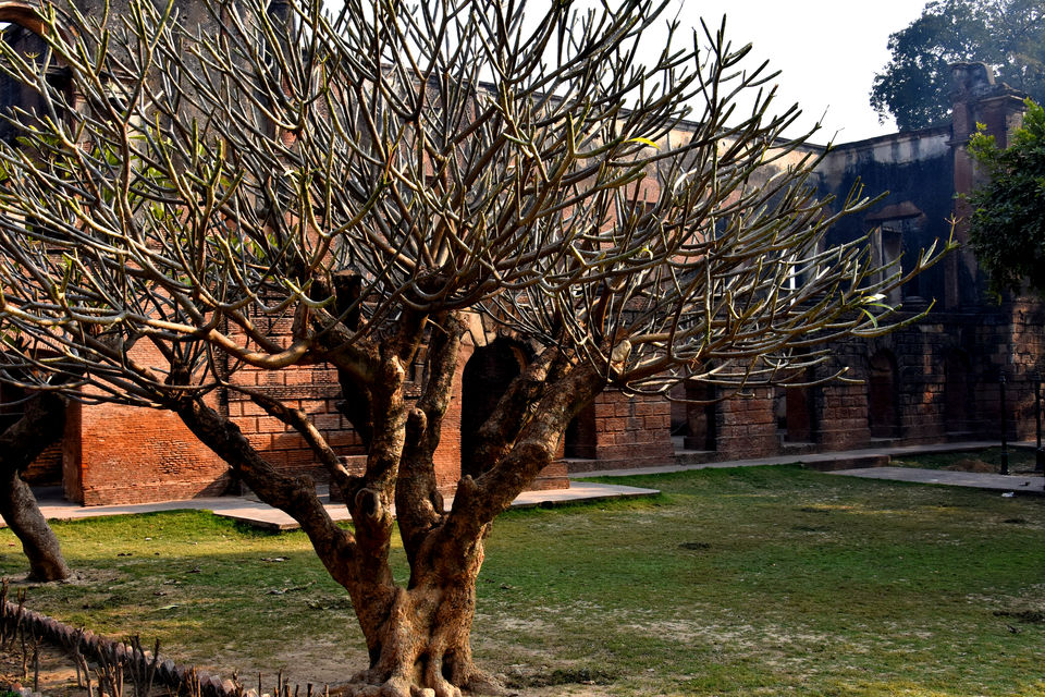 Photo of British Residency, Mahatma Gandhi Marg, Deep Manak Nagar, Qaiserbagh, Lucknow, Uttar Pradesh, India by Aashu Jha