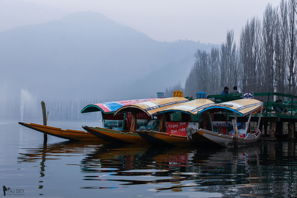 Photo of Unheard voices from the land of Chinar by Wander to Capture
