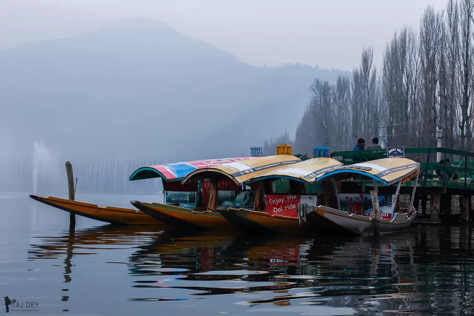 Photo of Srinagar by Wander to Capture