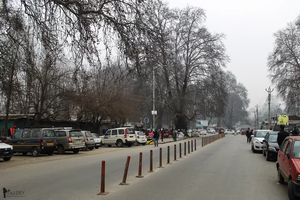 Photo of Unheard voices from the land of Chinar by Wander to Capture