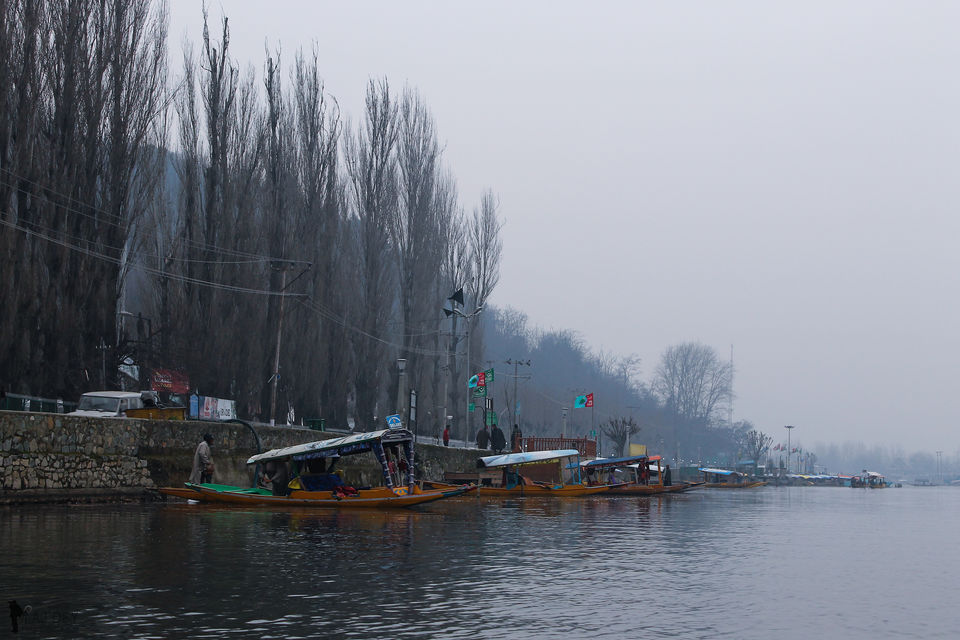 Photo of Dal Lake, Srinagar by Wander to Capture