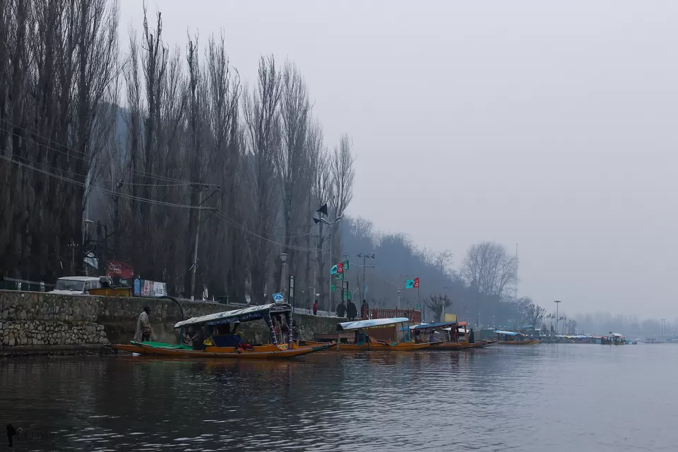 Photo of Dal Lake, Srinagar by Wander to Capture