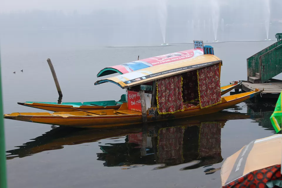 Photo of Dal Lake, Srinagar by Wander to Capture