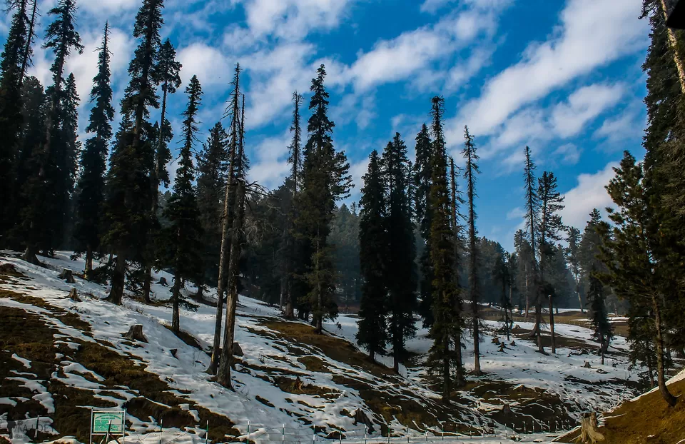 Photo of Gulmarg, Baramulla by Wander to Capture