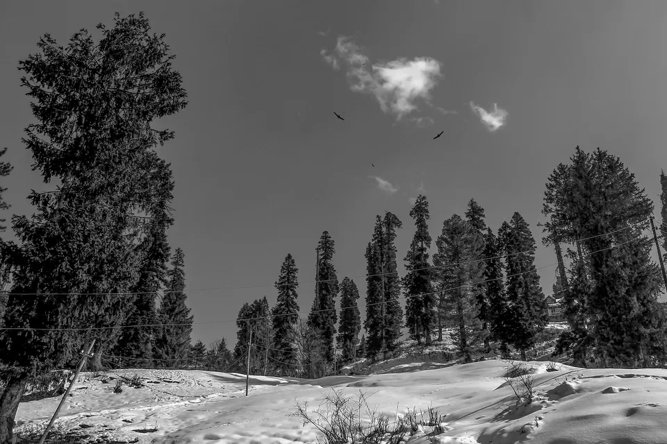 Photo of Gulmarg by Wander to Capture
