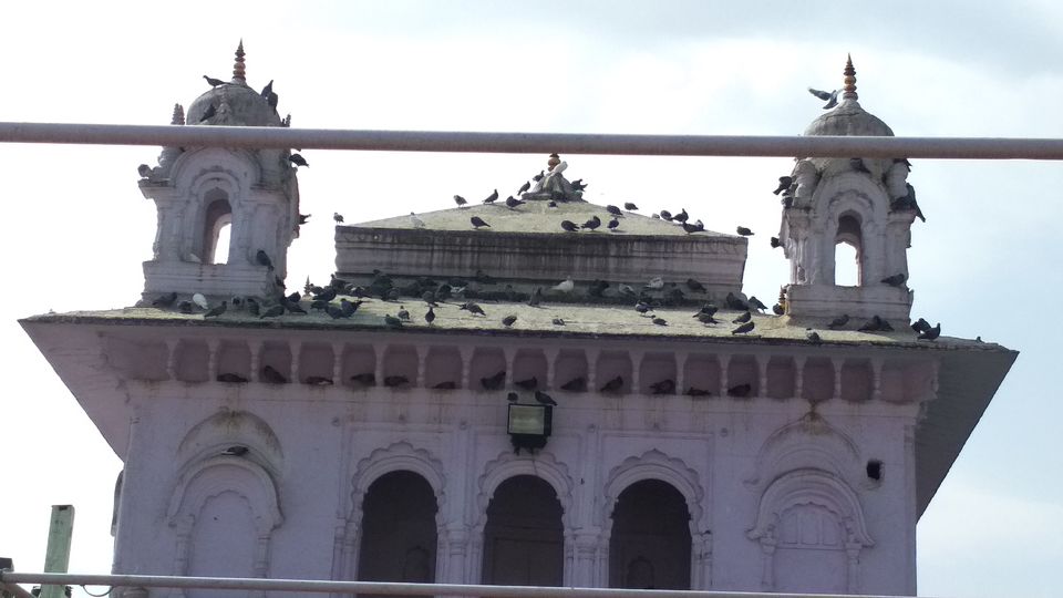 Photo of Jama Masjid, Peer Gate Area, Bhopal, Madhya Pradesh, India by Girish Hiranand