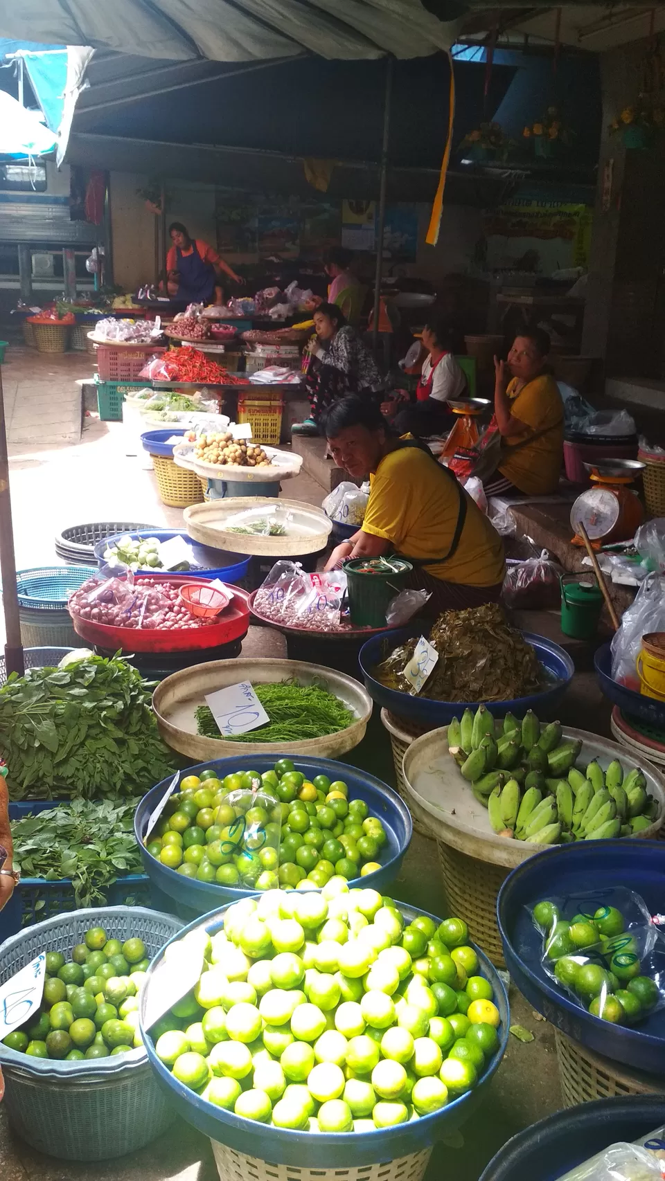 Photo of Your Guide from MaeKlong Railway Market to Bangkok by Train-Ferry-Bus, all less than 50 Thai Baht ! by Girish Hiranand