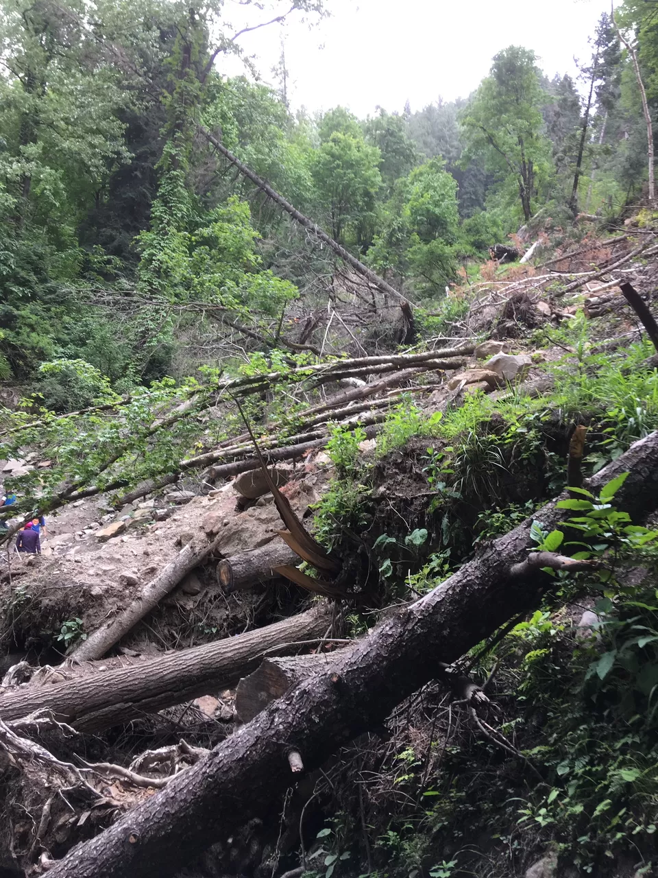 Photo of Kheer Ganga Trek, Khir Ganga, Himachal Pradesh, India by Sunil Dutt Singla