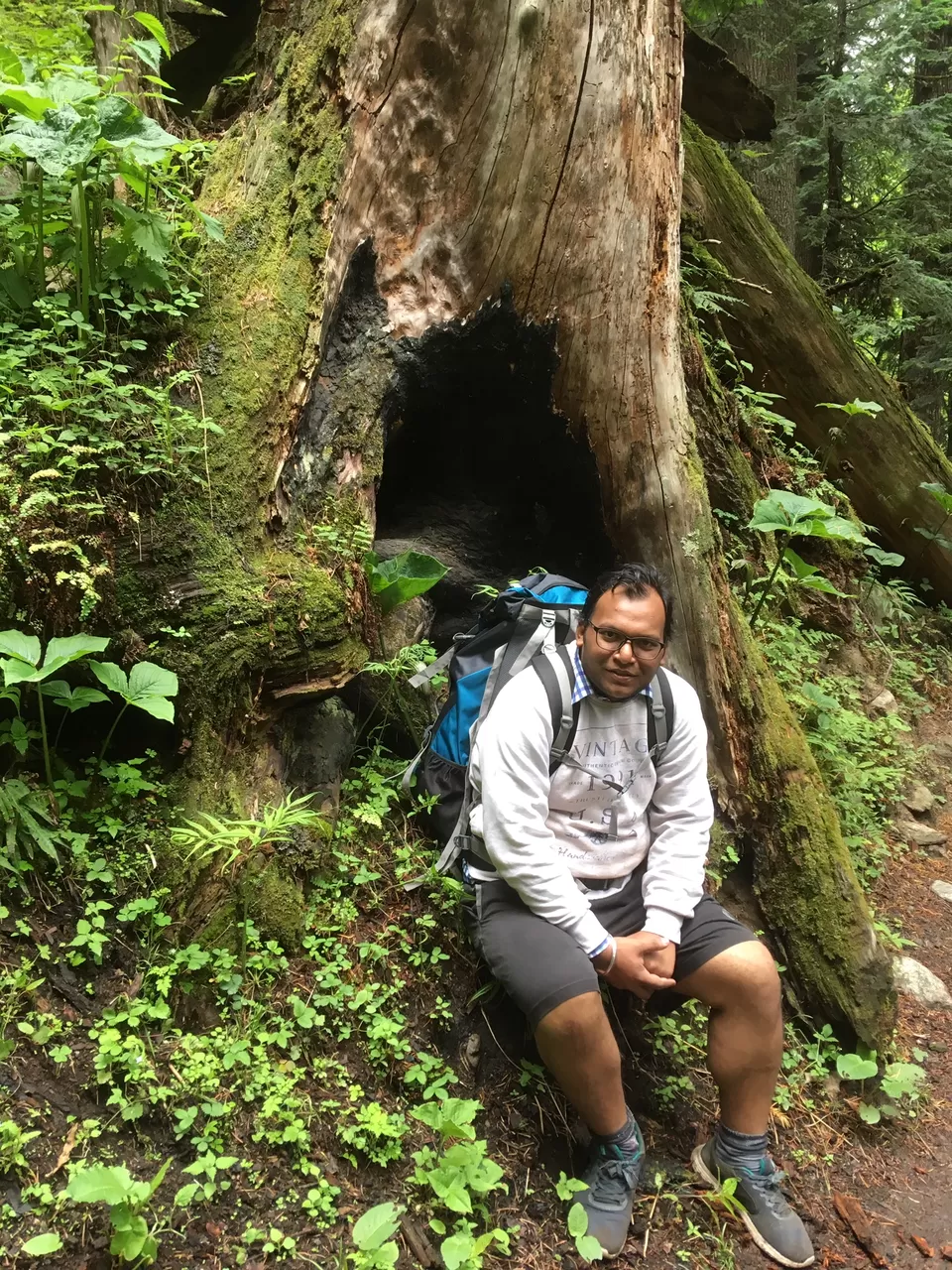 Photo of Kheer Ganga Trek, Khir Ganga, Himachal Pradesh, India by Sunil Dutt Singla