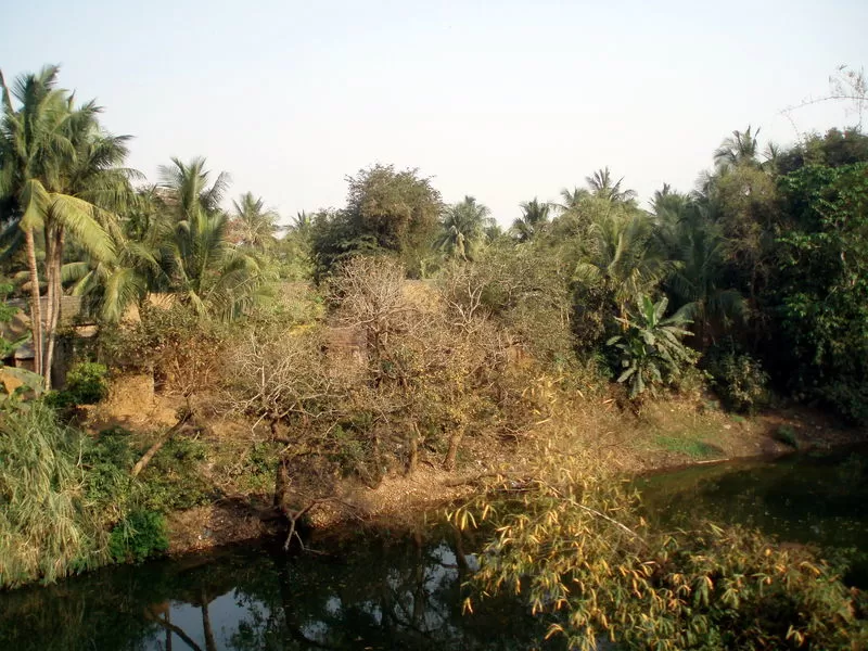 Photo of Bhubaneswar, Odisha, India by Charu Mittal