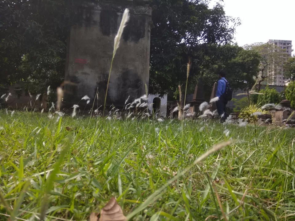 Photo of Park Street Cemetery, Mullick Bazar, Park Street area, Kolkata, West Bengal, India by Priya Chowdhary