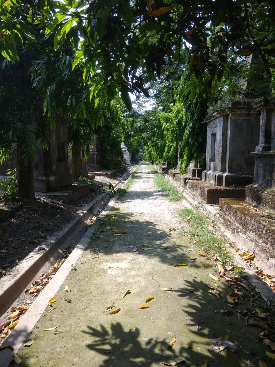 Photo of Park Street Cemetery, Mullick Bazar, Park Street area, Kolkata, West Bengal, India by Priya Chowdhary