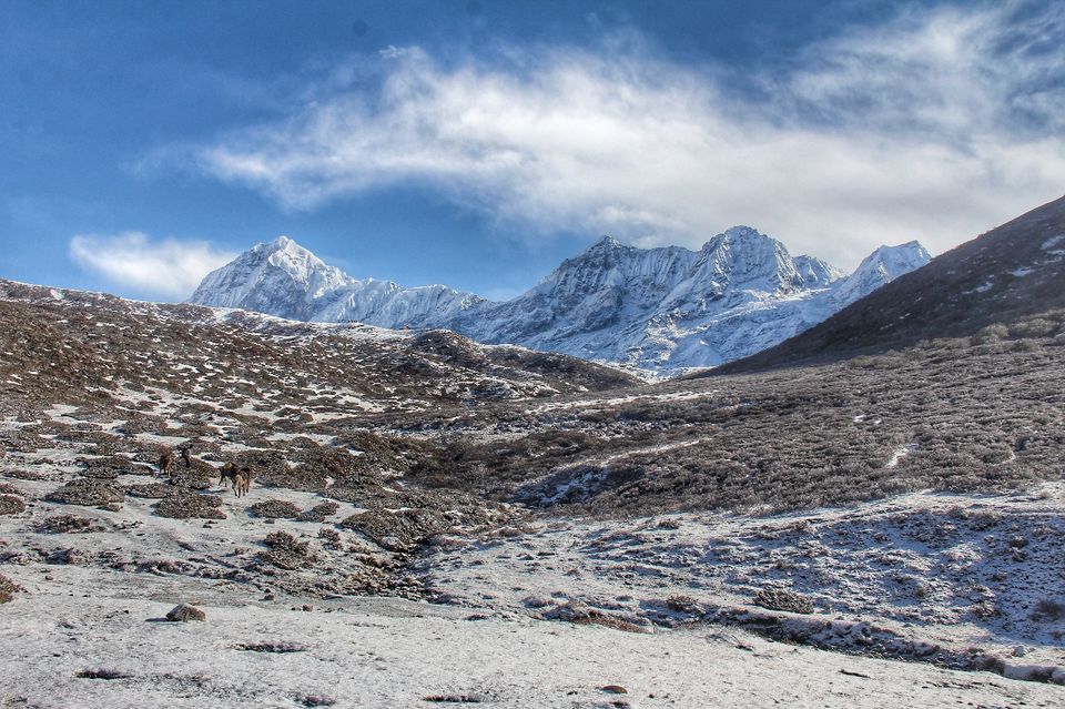 Photo of Up and Away. 5/7 by Sonam Tshering