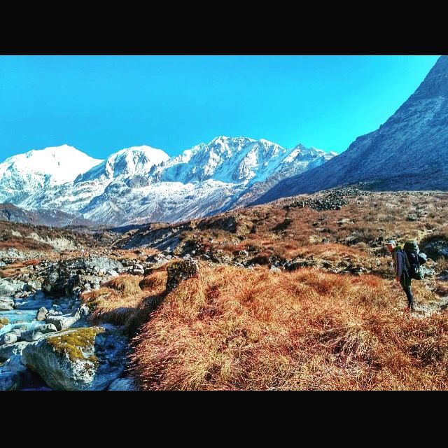 Photo of Up and Away. by Sonam Tshering