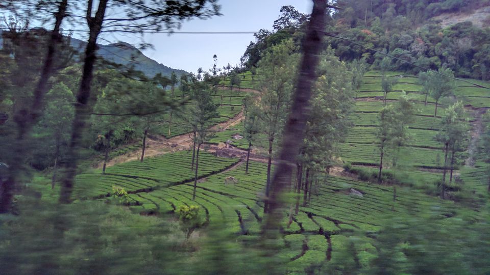 Photo of Munnar, Kerala, India by ANWIN J THOMAS
