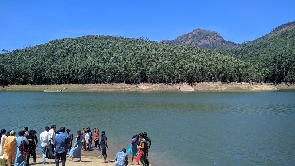 Photo of Munnar, Kerala, India by ANWIN J THOMAS