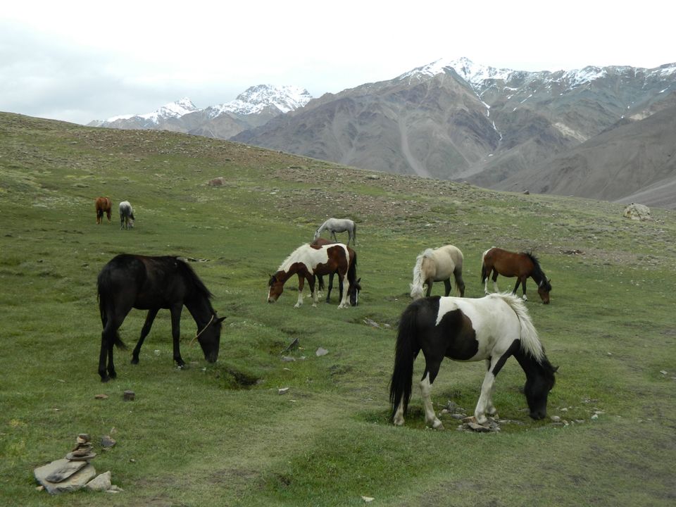 Photo of Manali to Spiti on road..perfect 7 days.Truly a heaven on earth.. by Shatakshi Gupta