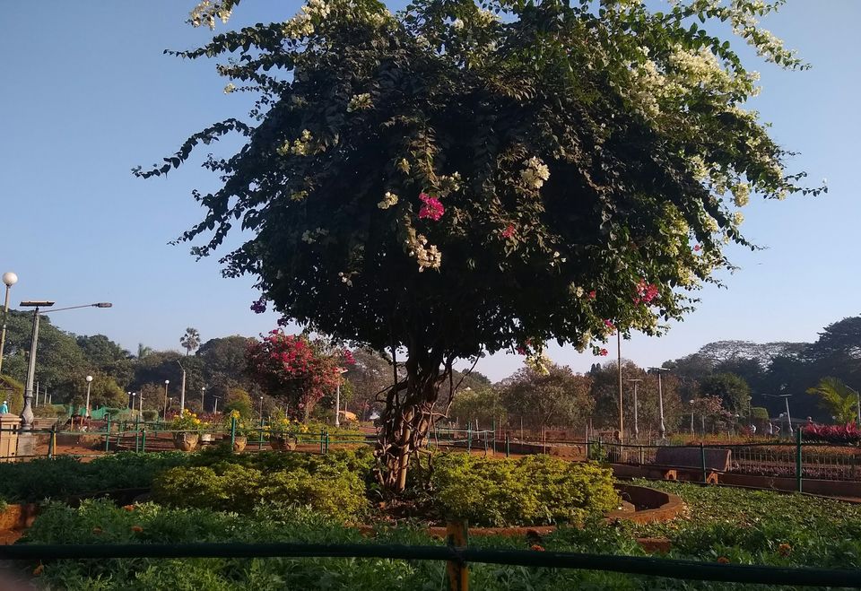 Photo of Charni Road, Girgaon, Mumbai, Maharashtra, India by Shatakshi Gupta