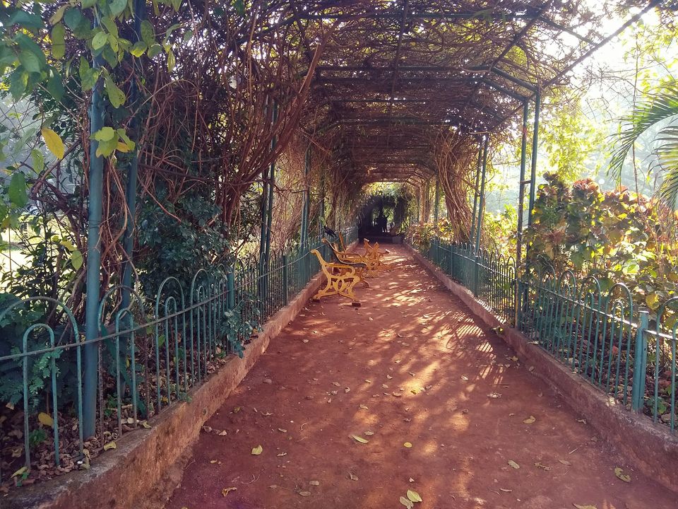 Photo of Charni Road, Girgaon, Mumbai, Maharashtra, India by Shatakshi Gupta
