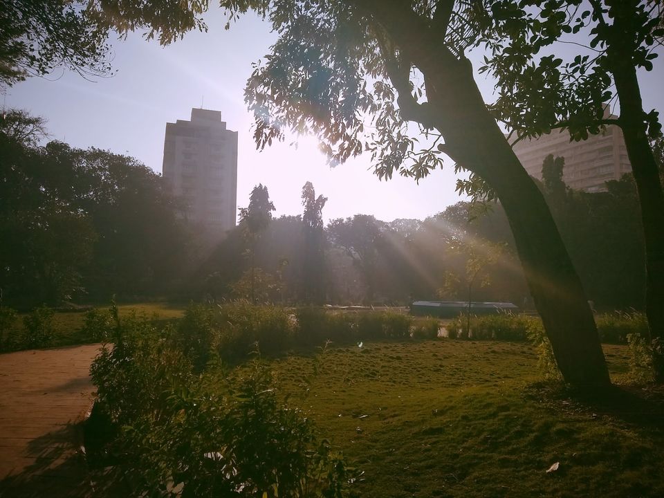 Photo of Recently I explored most beautiful place for nature lovers in Mumbai.. by Shatakshi Gupta