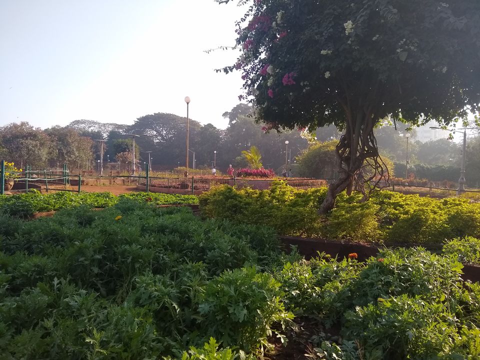 Photo of Charni Road, Girgaon, Mumbai, Maharashtra, India by Shatakshi Gupta