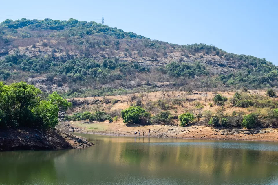 Photo of Bhushi Dam, Maharashtra by Shatakshi Gupta