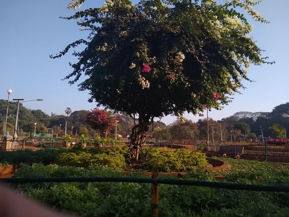 Photo of Top 5 Places to visit in the city of Dreams, Mumbai by Shatakshi Gupta