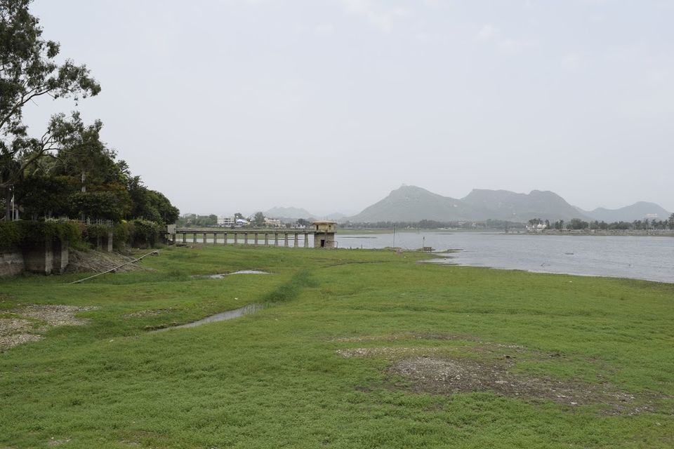 Photo of 2 days itinerary to Udaipur 16/16 by Shatakshi Gupta