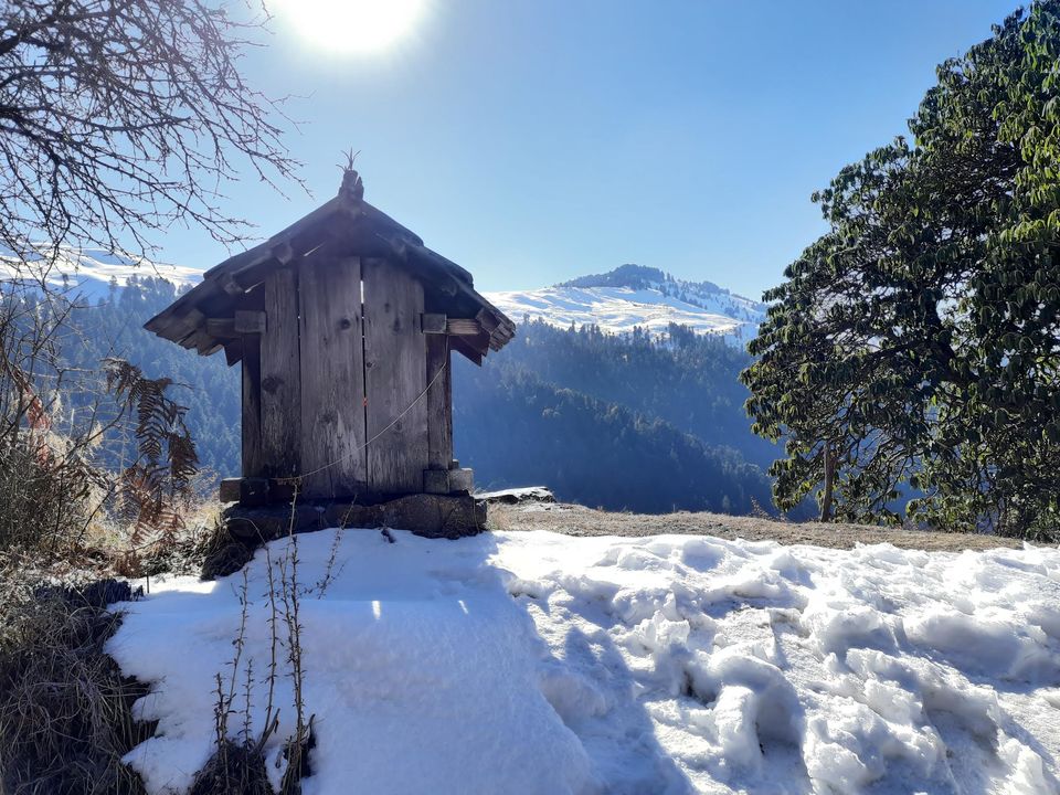 Photo of Guide to Prashar Lake Trek, the land of floating Island 3/9 by Shatakshi Gupta