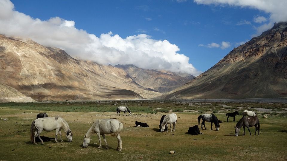 Photo of Road Trip Delhi to Spiti -7 Days by Shatakshi Gupta