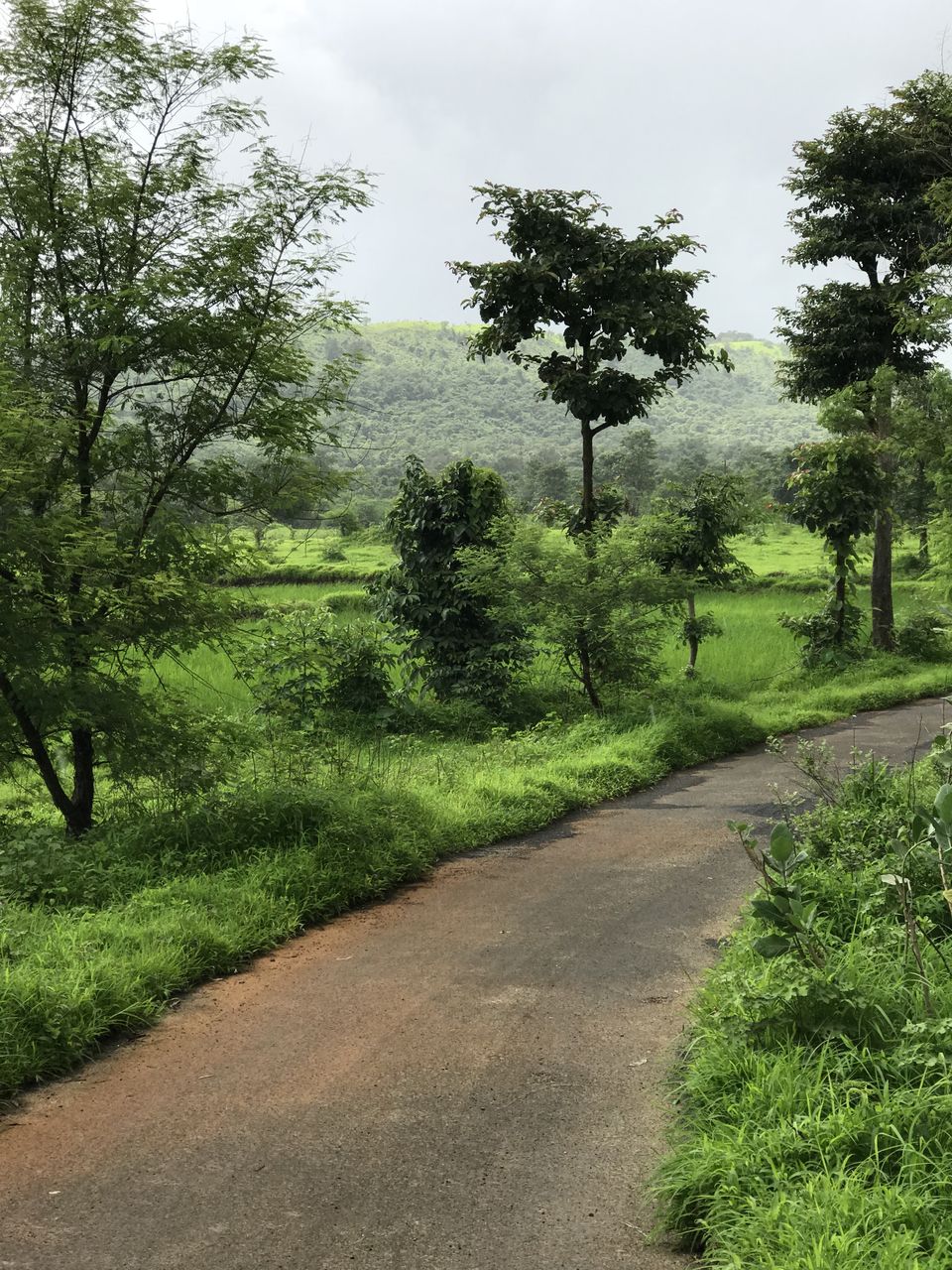 Photo of An Unexplored weekend getaway DAPOLI "The Mahabaleswar of Konkan" 11/14 by Shalini Garnaik