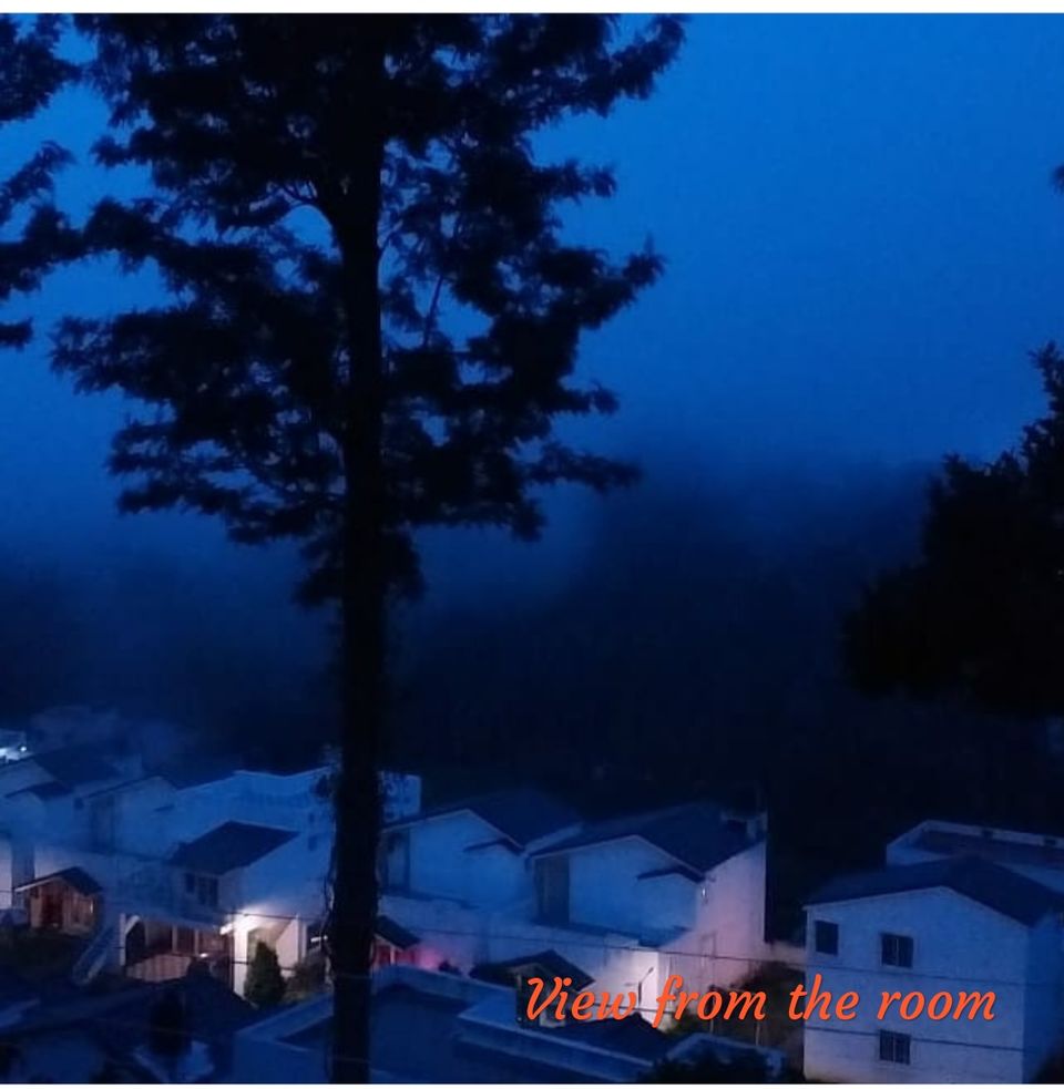 Photo of Yercaud- The hidden jewel of Eastern ghats 14/16 by Shalini Garnaik