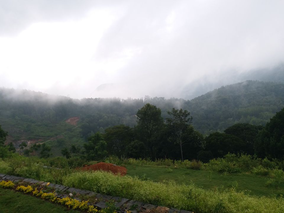 Photo of Yercaud- The hidden jewel of Eastern ghats 11/16 by Shalini Garnaik