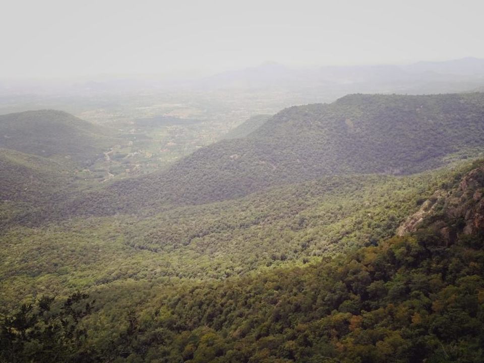 Photo of Yercaud- The hidden jewel of Eastern ghats 4/16 by Shalini Garnaik