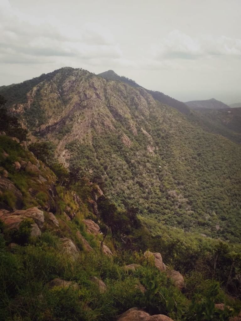 Photo of Yercaud- The hidden jewel of Eastern ghats 5/16 by Shalini Garnaik