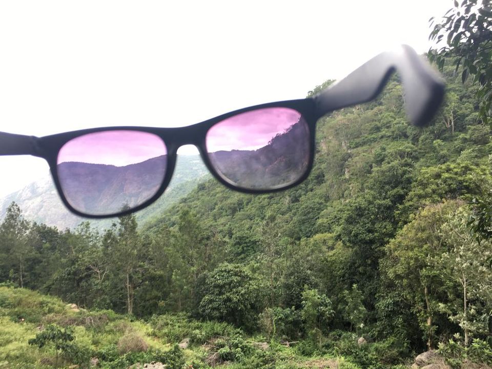 Photo of Yercaud- The hidden jewel of Eastern ghats 9/16 by Shalini Garnaik