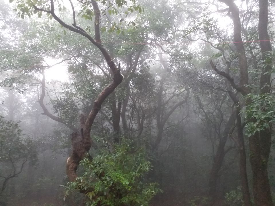 Photo of Matheran - Untouched by pollution and automobiles 8/10 by Shalini Garnaik