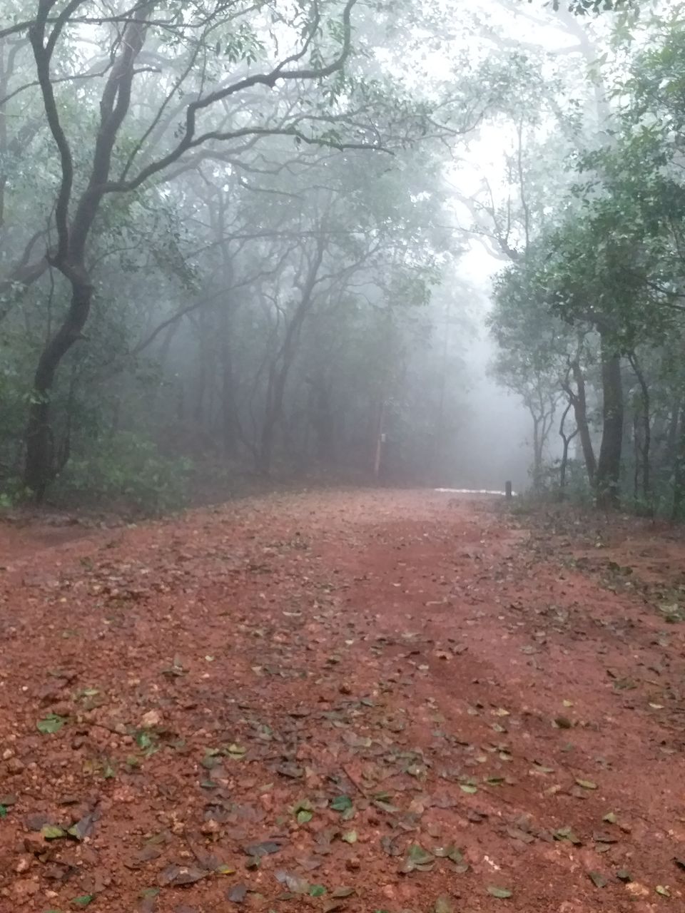 Photo of Matheran - Untouched by pollution and automobiles 7/10 by Shalini Garnaik