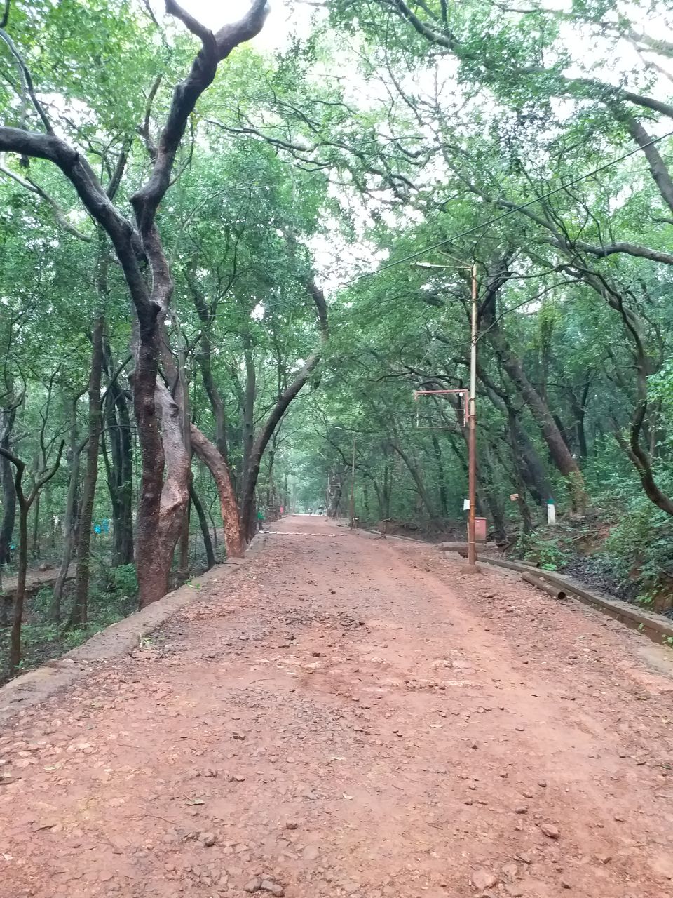 Photo of Matheran - Untouched by pollution and automobiles 2/10 by Shalini Garnaik